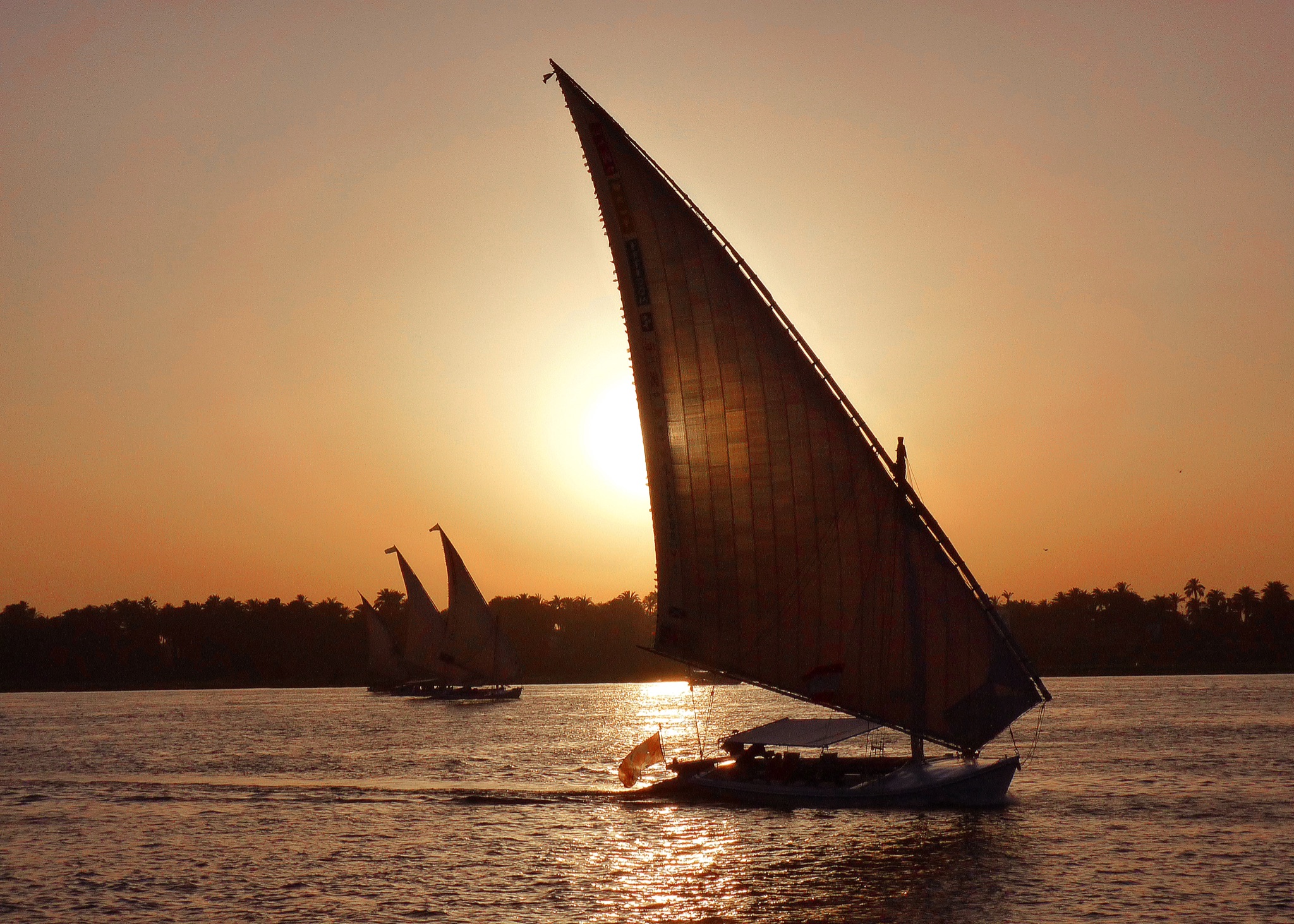 Fellucas Luxor 2010
